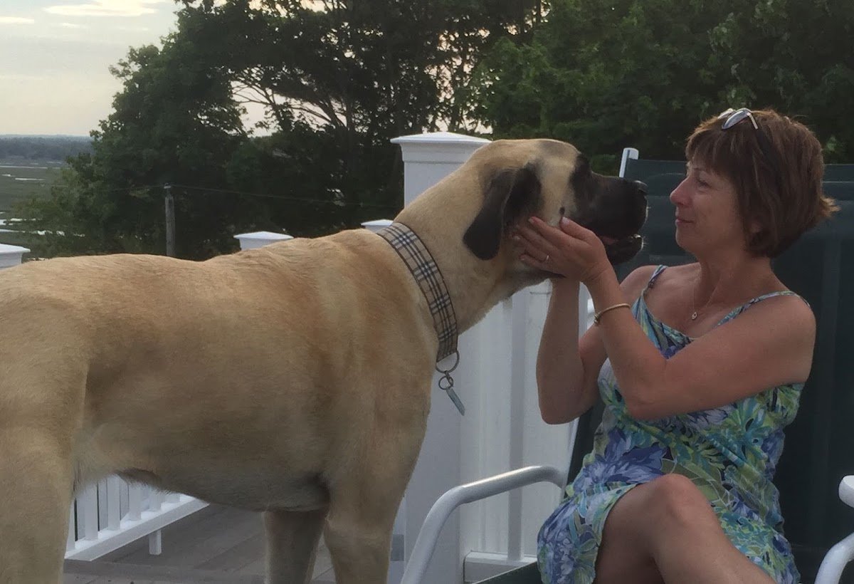 Love Your Pawz LLC - Photo 2