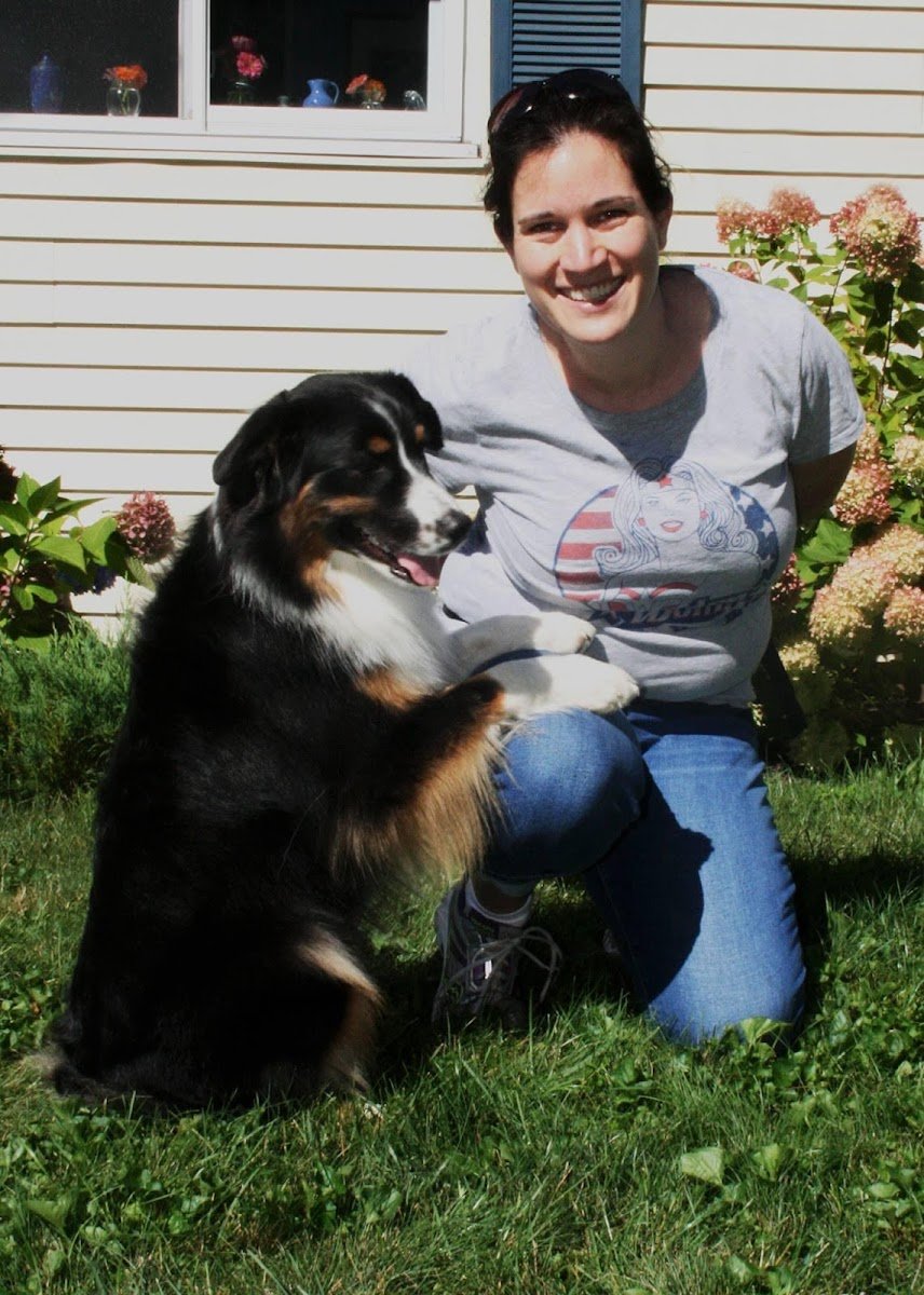 Look Ma, No Paws Dog Training - Photo 2