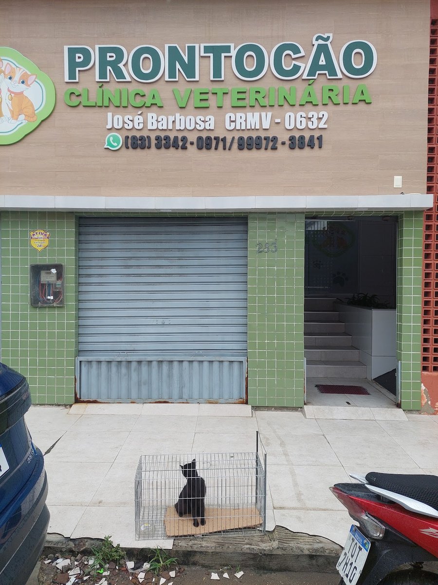 Prontocão Consultório Veterinário