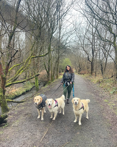 L & E Paws Walks - Pet Shop in Glasgow