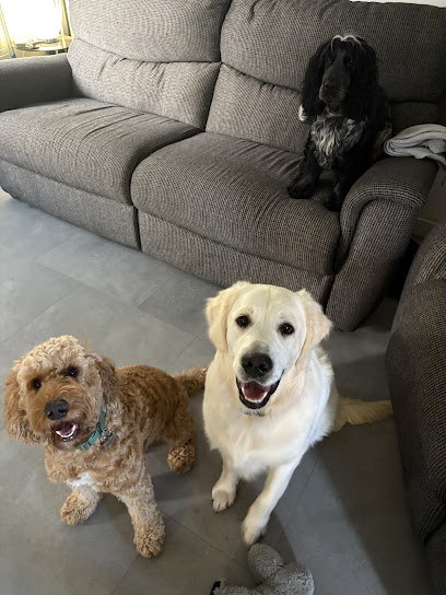 Pawsitve walks & boarding