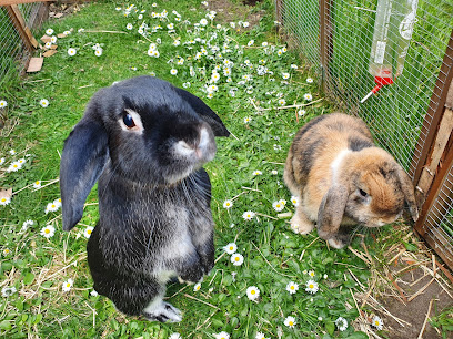 Furry Friends Hotel Rabbit & Small Animal Boarding .