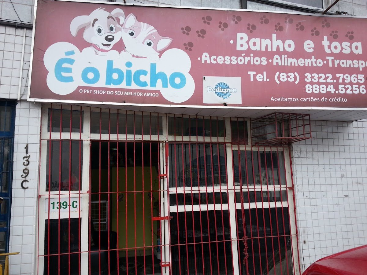 É o Bicho Pet Shop - Pet Shop em Campina Grande