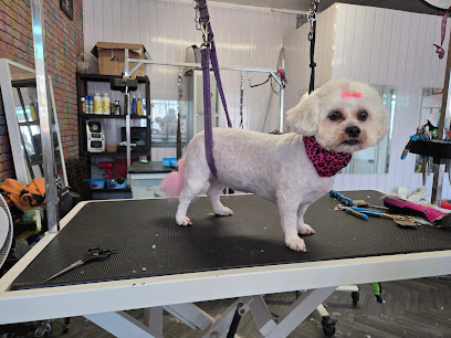 Snoopdogs grooming salon