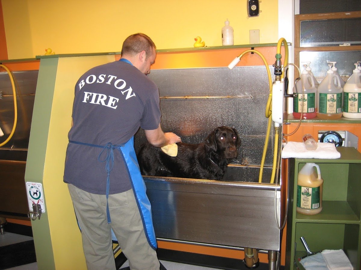 BYOD dog wash - Photo 2