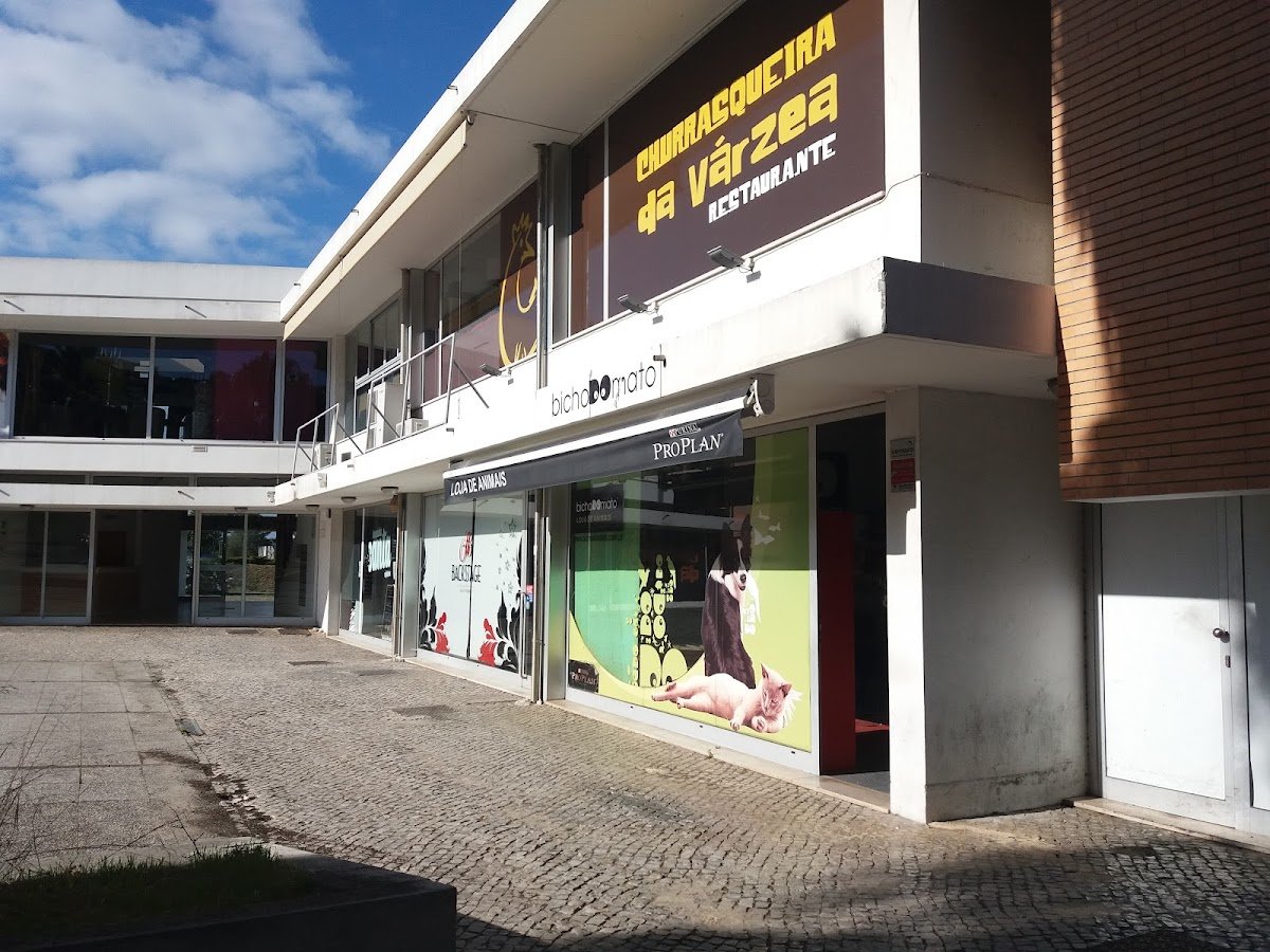 Bicho do Mato - Loja de Animais - Pet Shop em Coimbra