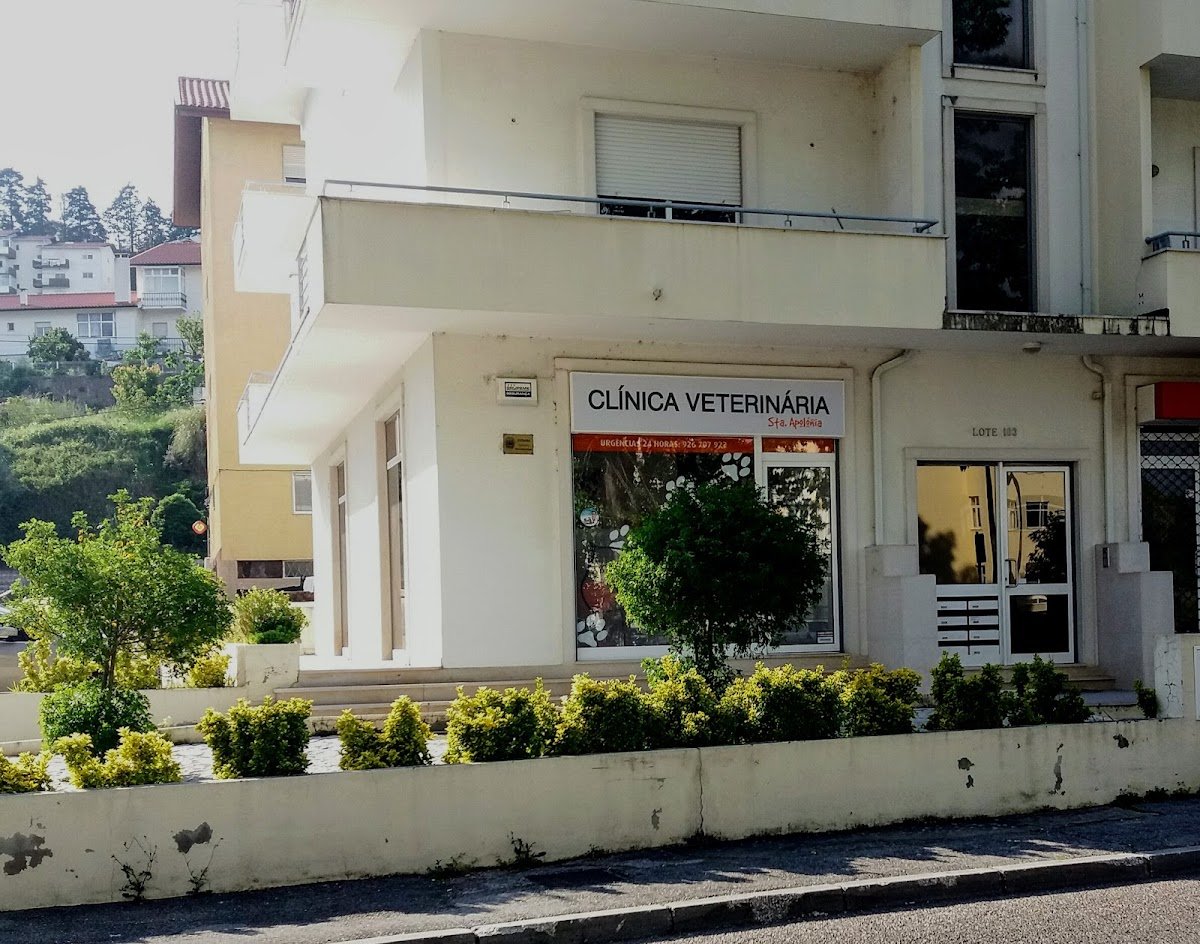 Clinica Veterinária de Santa Apolónia - Pet Shop em Coimbra