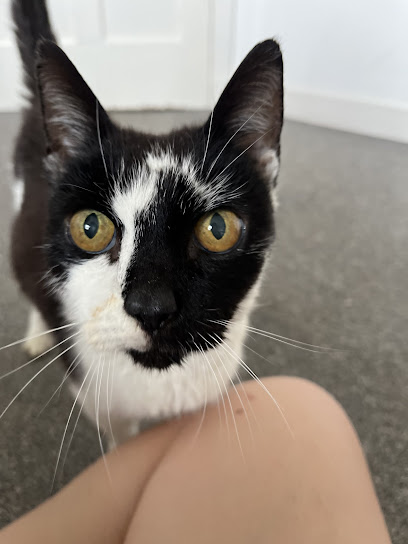 Hyndland Street Veterinary Surgery