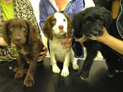 Avalon Veterinary Clinic