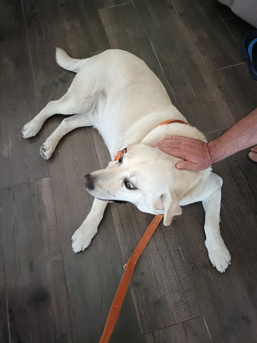 Clinica Veterinária de Anadia