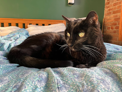 Boston Twilight Veterinary Care