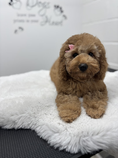 G-Unit Dog Grooming & Daycare