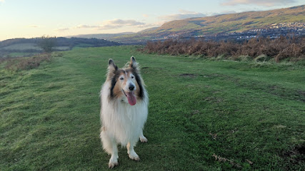 Greta' Adventures Dog Walking & Pet Services