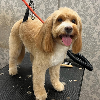 Super Grooms Dog Grooming Yoker