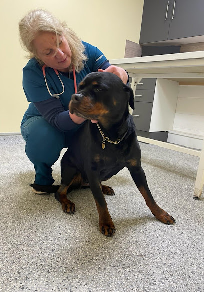 Four Paws Veterinary Clinic