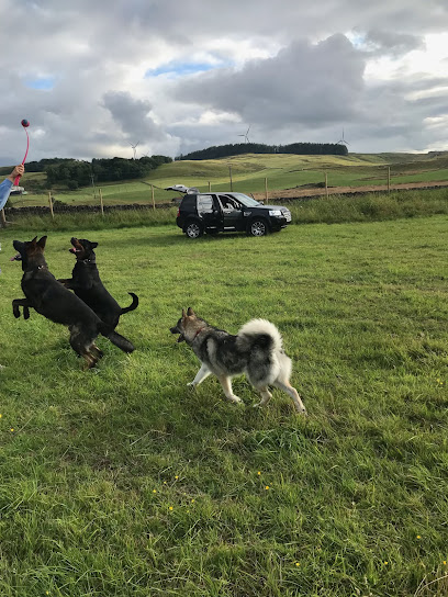 Craigton Doggy Day Care and Home from Home Boarding