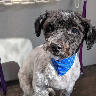 Grooming by Caitlin LLC