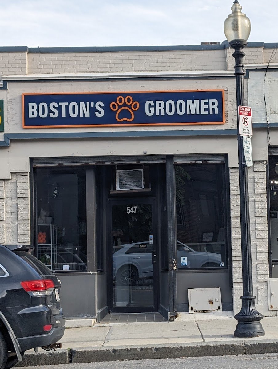 Boston's Groomer - Photo 2