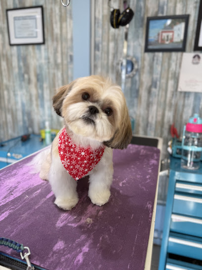 Gentle Paws House Call Grooming