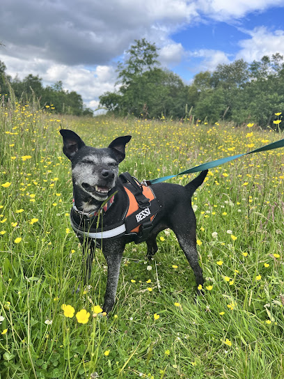 Ultimutts K9 Services