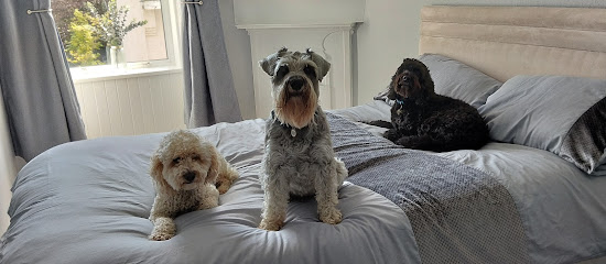 JACK-AL DOG WALKING SERVICE - Pet Shop in Glasgow