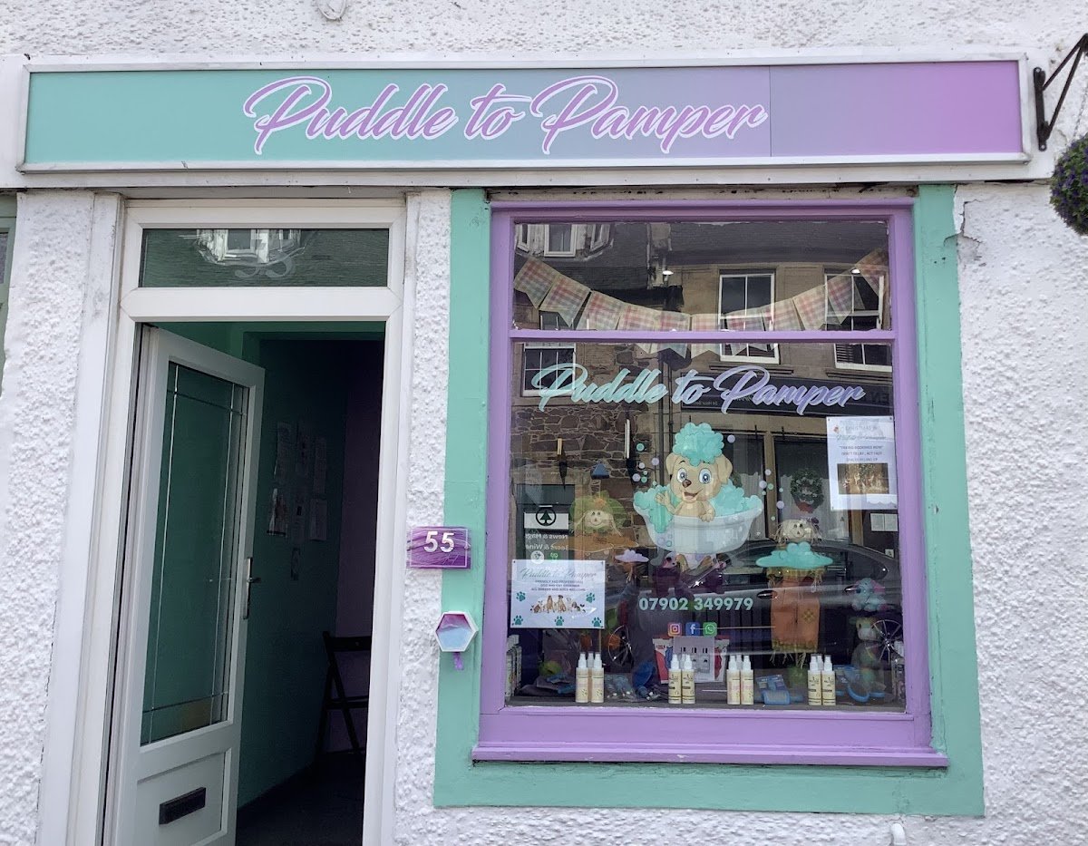 Puddle to Pamper - Photo 2