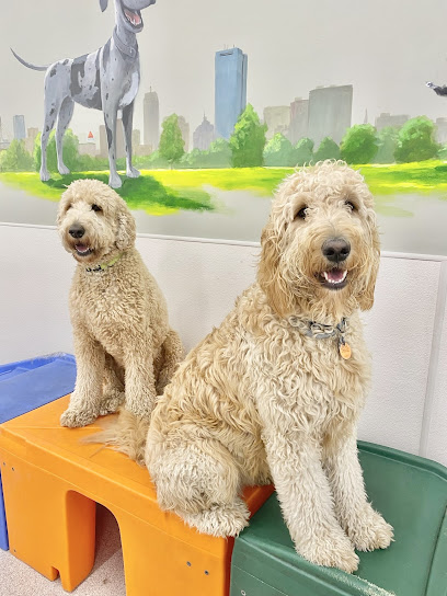 Red Dog Pet Resort & Spa at North Station - Pet Shop in Boston