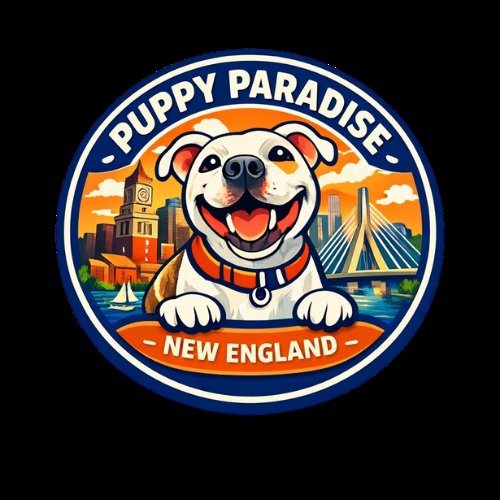 Puppy Paradise New England - Photo 2