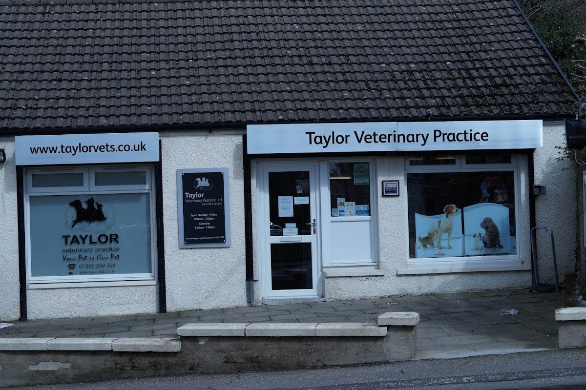 Taylor Veterinary Practice - Photo 2