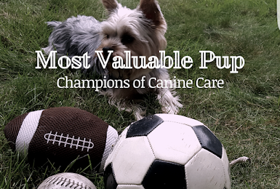 Most Valuable Pup - Pet Shop in Boston