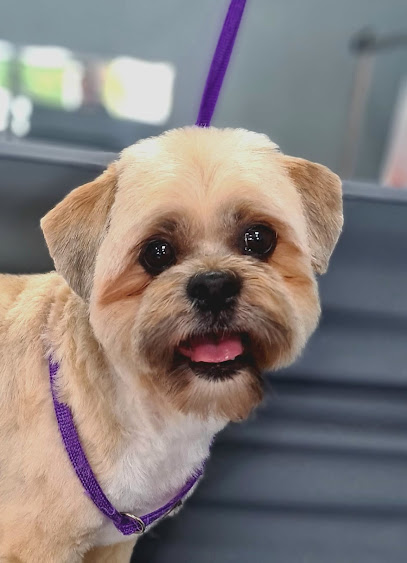 Le Chien Grooming - Pet Shop in Glasgow