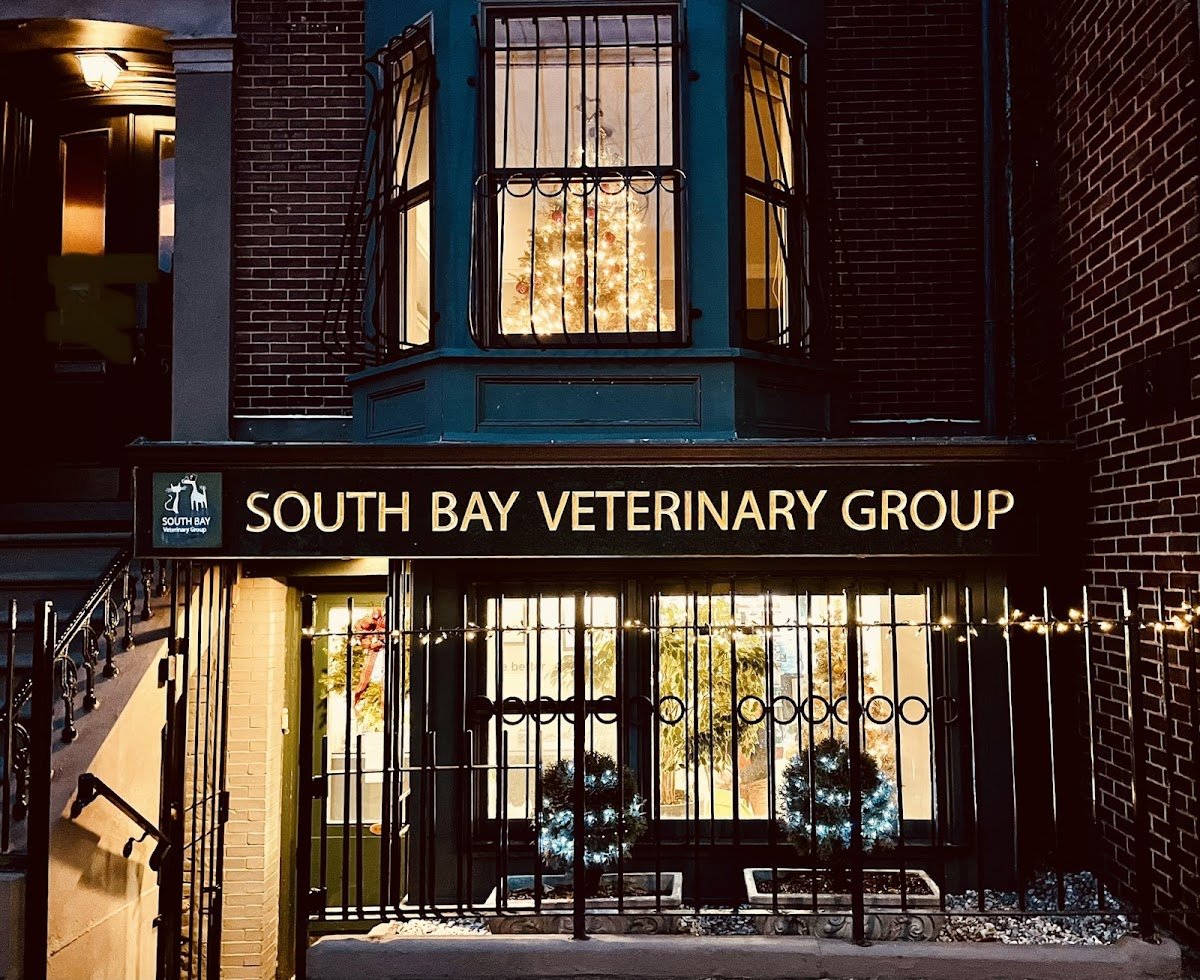 South Bay Veterinary Group - Photo 2
