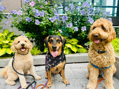 Karen 4 K-9's Boston