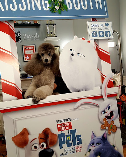 Pawsh Dog Boutique - Pet Shop in Boston