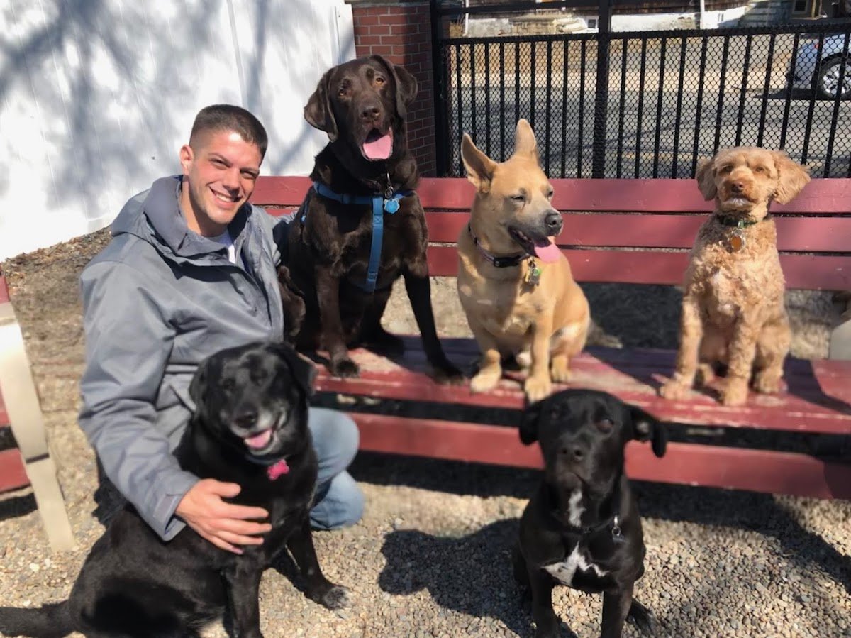 On call pet service - Photo 2
