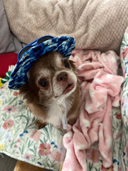 Medivet Orrell Park - Warbreck House Veterinary Centre