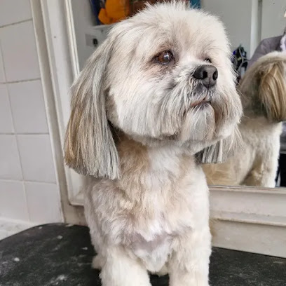 Croxteth Park Dog Groomers