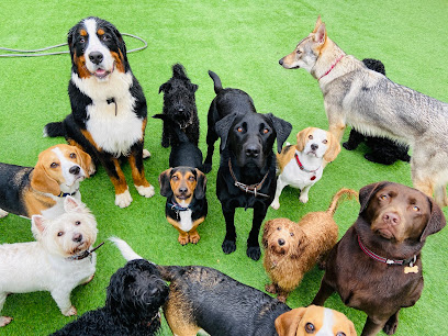 Faye's Doggy Boutique