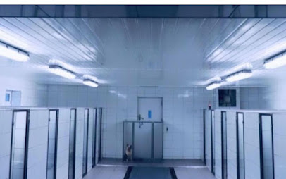 Bluebell Boarding Kennels