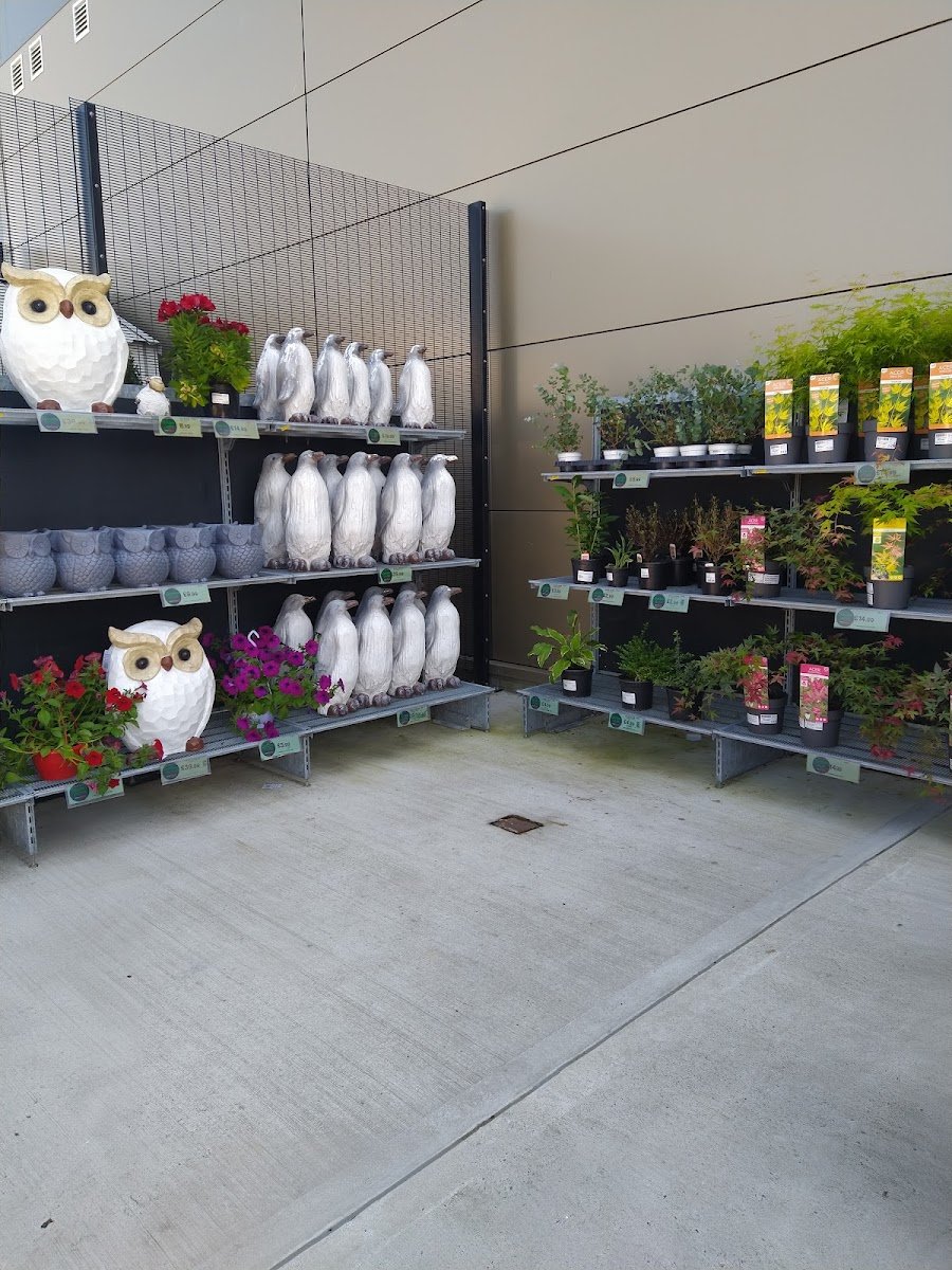 Home Bargains - Photo 2