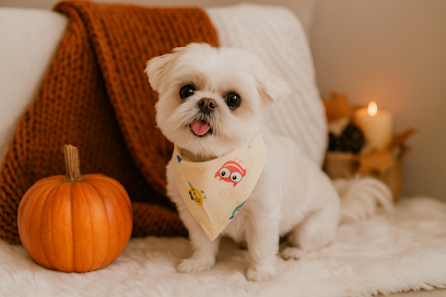 DOG CARE UK GROOMING