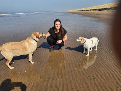 Happy Hounds Scarisbrick | Professional daily dog walker in Scarisbrick, Halsall, Haskayne, Ormskirk, Burscough.