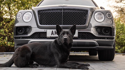 Link K9 Family Protection Dogs