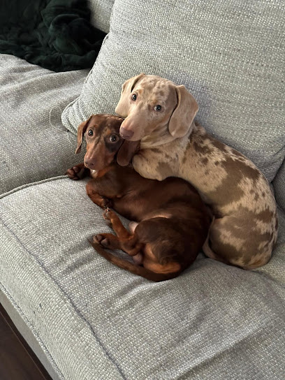 Parkside Dog Retreat