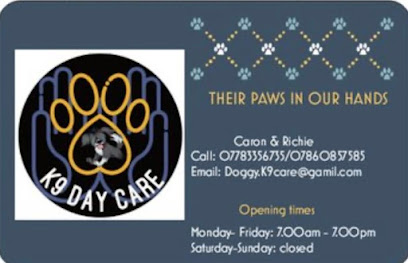 K9 daycare
