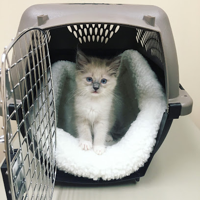 Hillsboro Animal Hospital & Pet Resort