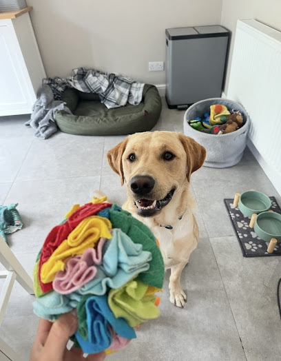 Ran's Pawfect Day - Pet Shop in Liverpool