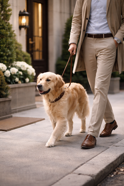 Playful Paws Pet Care Service