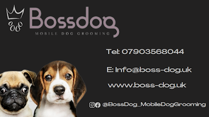 Boss Dog - Mobile Dog Grooming