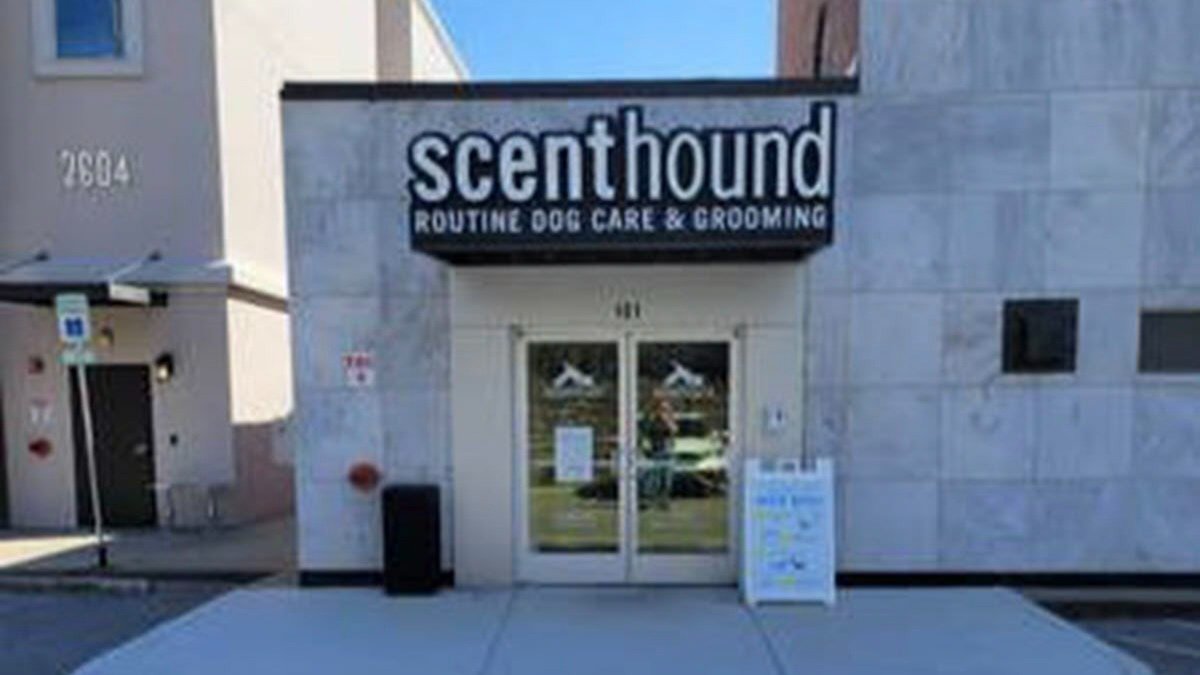 Scenthound Melrose - Photo 2